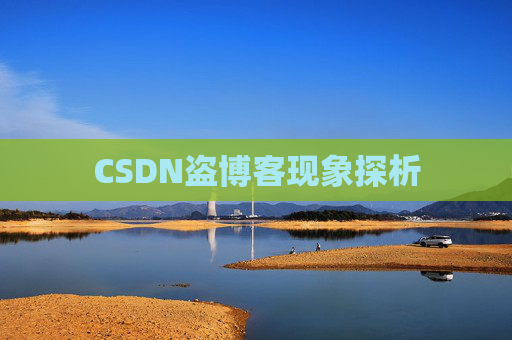 CSDN盗博客现象探析